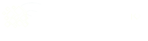 Shine Media Group Logo - Website Design and Maintenace